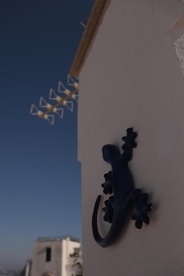 B&B Salentus Gallipoli Εξωτερικό φωτογραφία